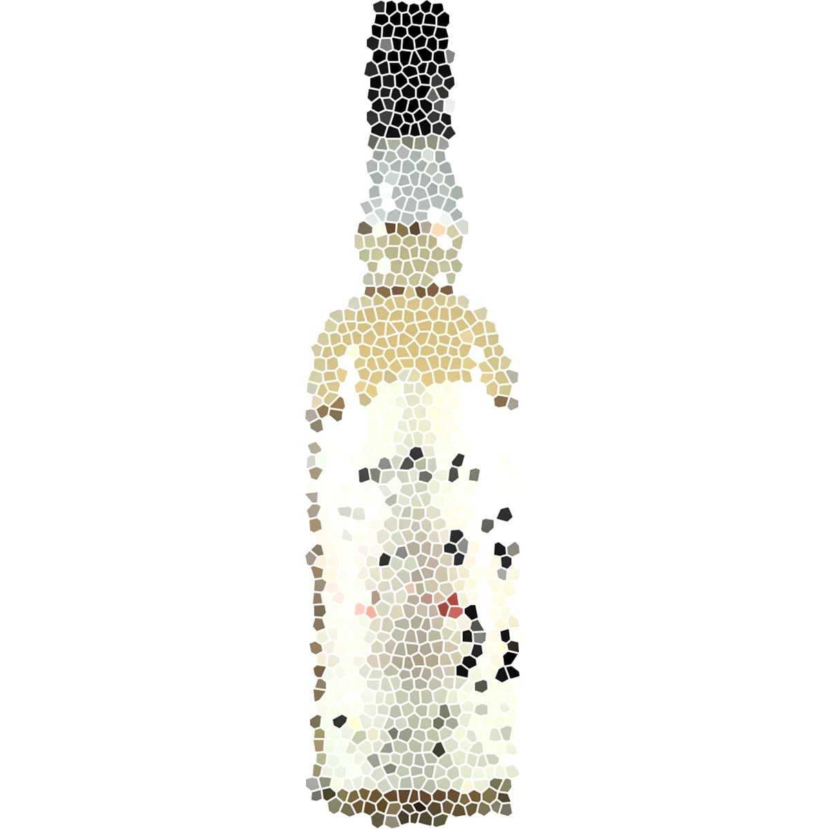 Dummy bottle